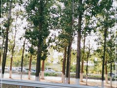 -天津武清北运河郊野公园房车露营地