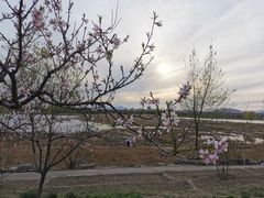 -绿堤公园
