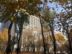 -河南财经政法大学(郑东校区)