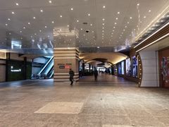 -乐天免税店(明洞店)