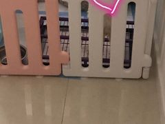 -翊宠yipet猫狗购宠庄园犬舍•猫舍