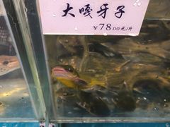 -胖姐渔村(中源大道店)