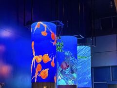 -浙江省科技馆