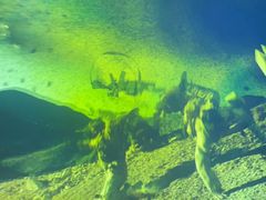 -君之悦·影院式足道·养生SPA(回兴店)