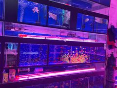 -青石桥花鸟鱼虫市场(叠翠城店)