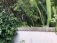 -候鸟水榕庄度假酒店