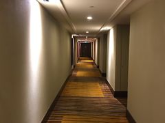 -芽庄喜来登水疗酒店