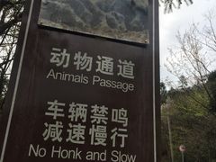 -大围山国家森林公园