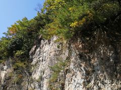 -秦岭风景区