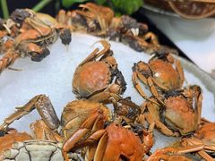 -星伦多自助料理(爱琴海店)
