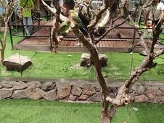 -绿色星球动物主题公园