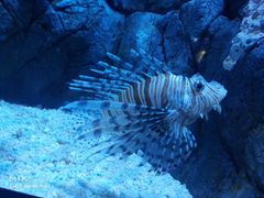 -成都浩海立方海洋公园