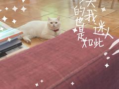 -彳亍咖啡·这里(水湾路店)