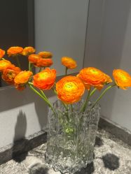 -三只熊皮肤管理中心旗舰店