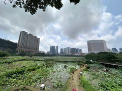-龙环葡韵住宅式博物馆