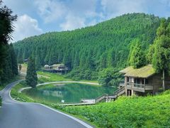 -武陵山森林公园