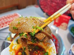 -渝大龙重庆火锅(温泉月亮湾店)