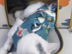 -达爱动物医院·犬猫分区·CT·复杂眼科(远洋山水分院)