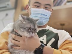 -喵园·猫主题咖啡厅·撸猫·猫咖(国贸店)