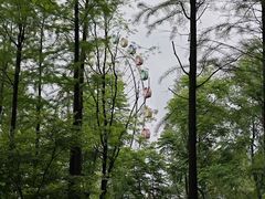 -洋湖国家湿地公园