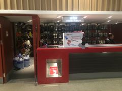 -陈露国际冰上中心(天津嘉里汇店)