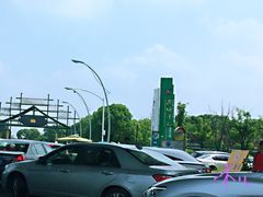 -荷塘月色湿地公园·向阳花洲