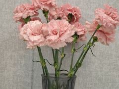 -来之顺海鲜菜馆·青岛菜·始于1993(栈桥店)