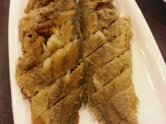 -乔家栅(襄阳南路店)