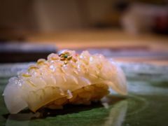 枪鱿鱼-鮨青(恒基名人购物中心店)