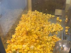 -李军力烧烤(丰庆路店)
