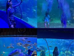-左海海底世界