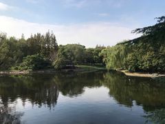 -共青国家森林公园-南大门停车场