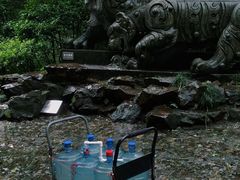 -虎跑公园