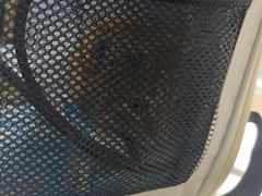 -谐和贝康宠物医院24小时·宠保定点(急重症转诊中心)