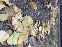 吴宫泛太平洋酒店-苏州吴宫泛太平洋酒店