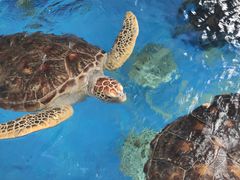 -成都浩海立方海洋公园