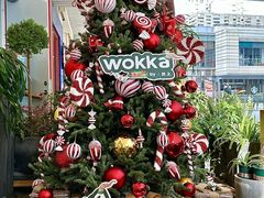 -WOKKA by艮上(中海环宇荟店)