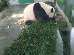 -无锡动物园·太湖欢乐园