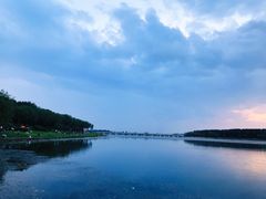 -丁香湖公园