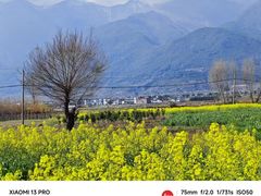 -洱海月湿地公园