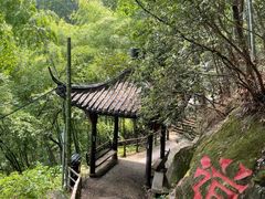 -东天目山风景区