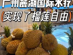-麓湖国际水疗