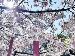 -杭州少年儿童公园