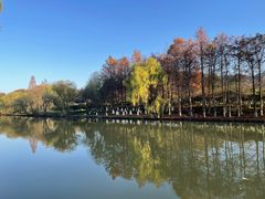 -西溪国家湿地公园