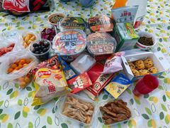 -上海海湾国家森林公园