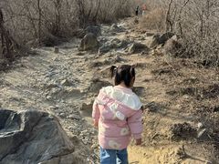 -大觉寺-停车场