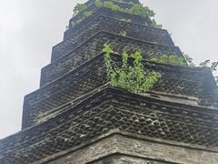 -东台西溪天仙缘景区