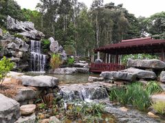 -东莞植物园