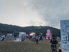-羊山湖公园
