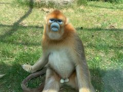 -西安秦岭野生动物园